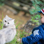 Pojke tar hand om sin katt på utepromenaden.