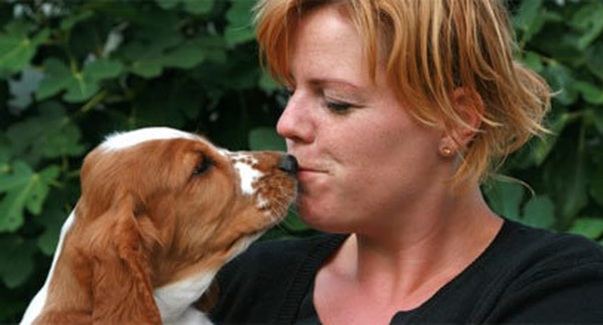 Samtal med Lotte Evers, Kennel Churnwood Agria Djurförsäkring