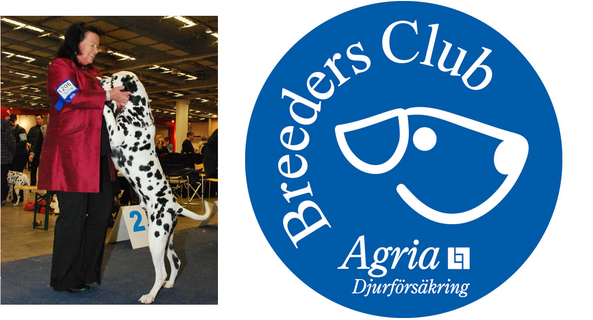 Skönhet och titlar får aldrig gå före bra temperament Agria