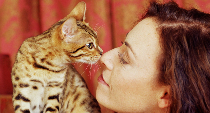 Katt och kvinna nosar pussar på varandra